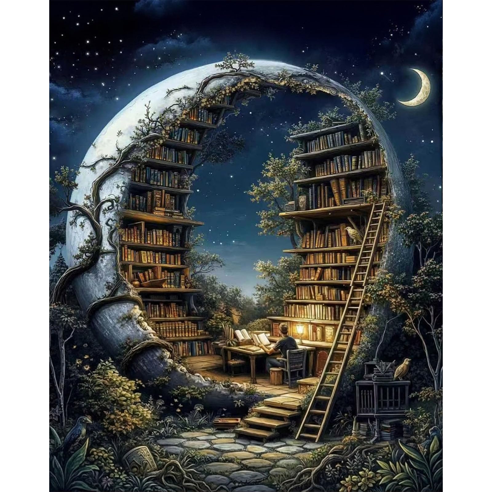 Pujeknm DIY Paint by Numbers for Adults, Fantasy Library Canvas Oil Painting Kit for Adults, Night Forest Craft Art Painting Kit Acrylic Pigment for Gift Home Wall Decor 12x16 in (Without Frame)
