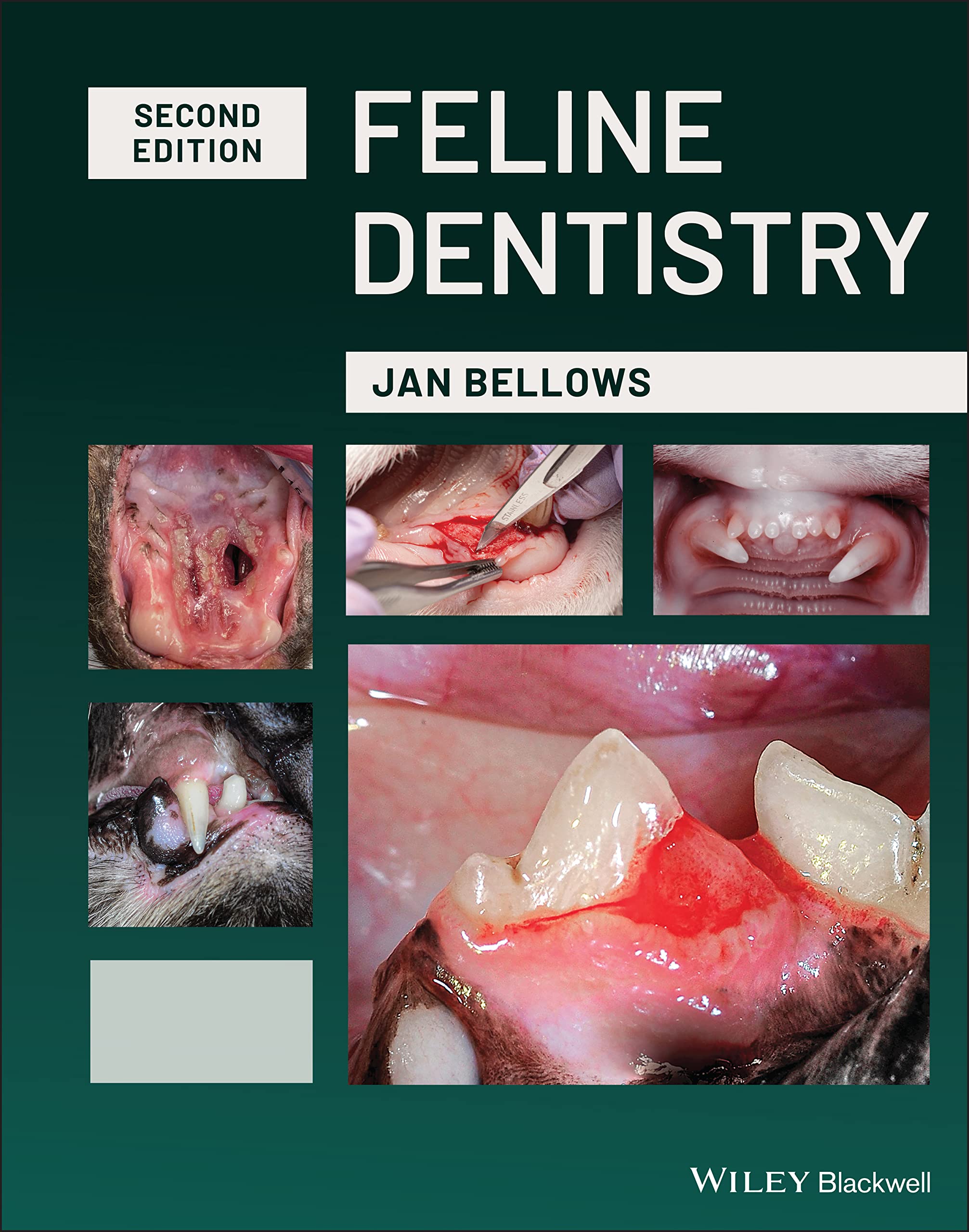 Feline Dentistry: Oral Assessment, Treatment, and Preventative Care. Bellows**