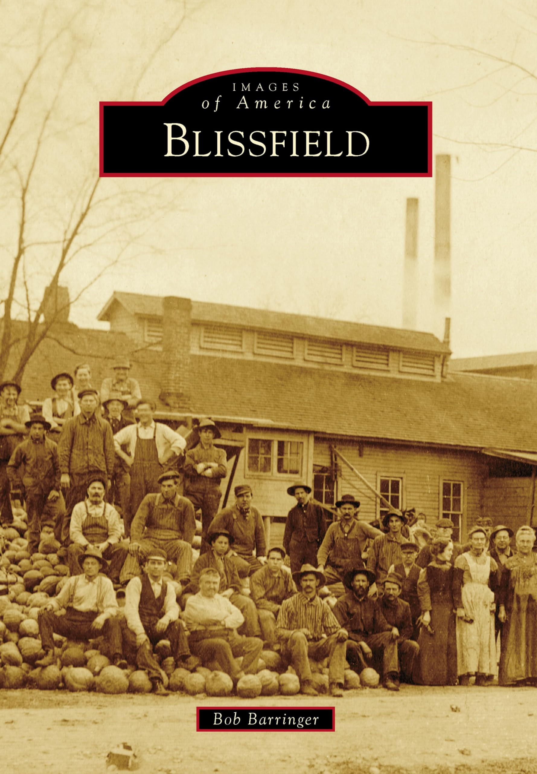 Blissfield Images of America pour comprendre l'histoire locale américaine en VO