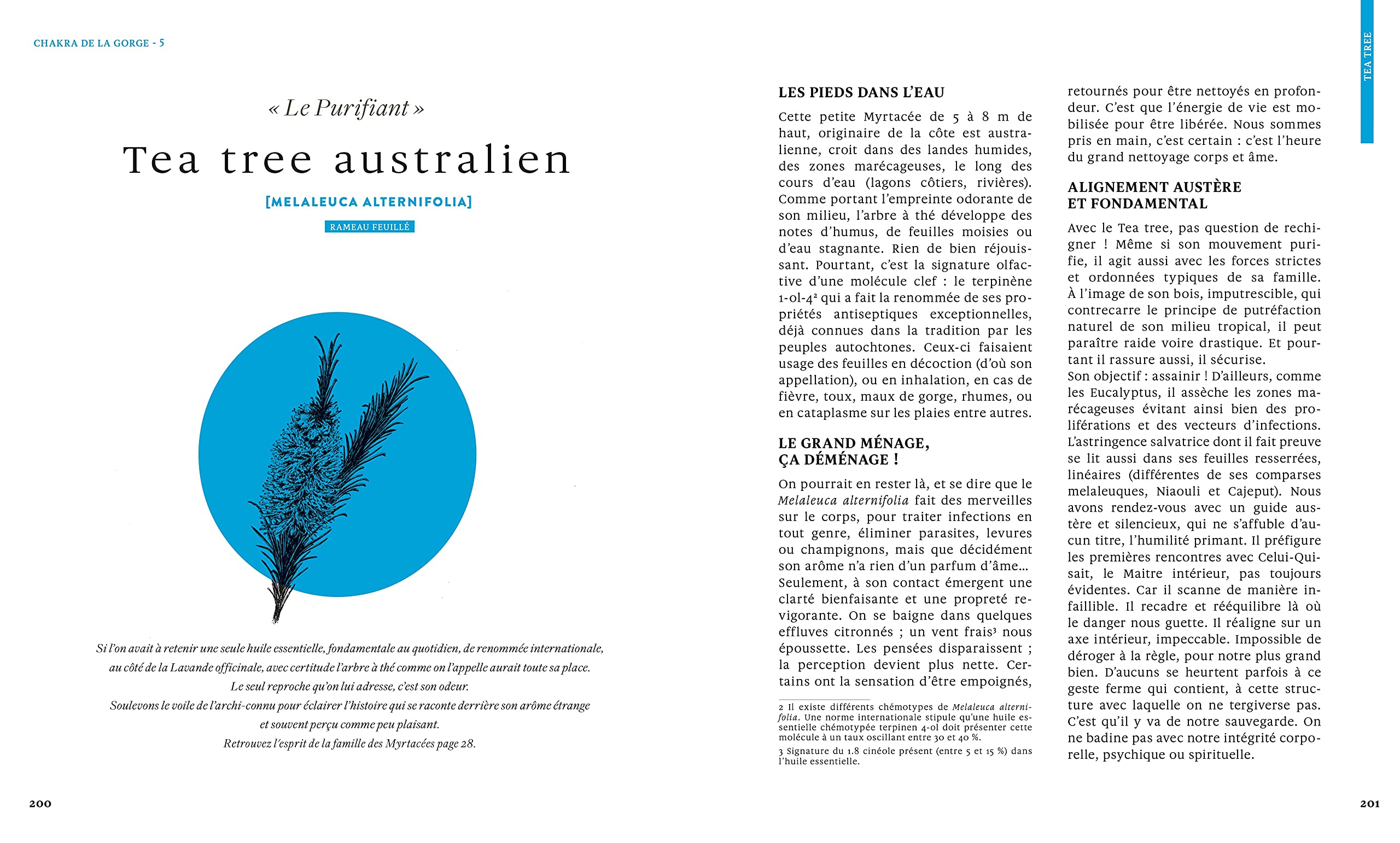 Le grand livre des huiles essentielles - médecine de l'âme et voie d'éveil: 50 huiles essentielles coeur, corps, esprit