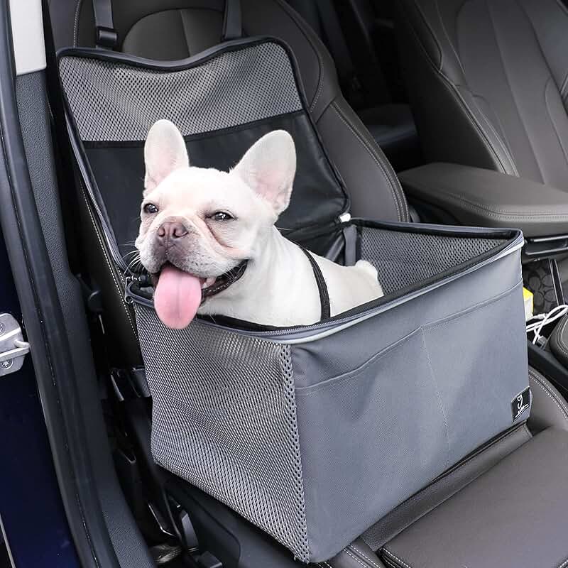 dog car carriers for small dogs