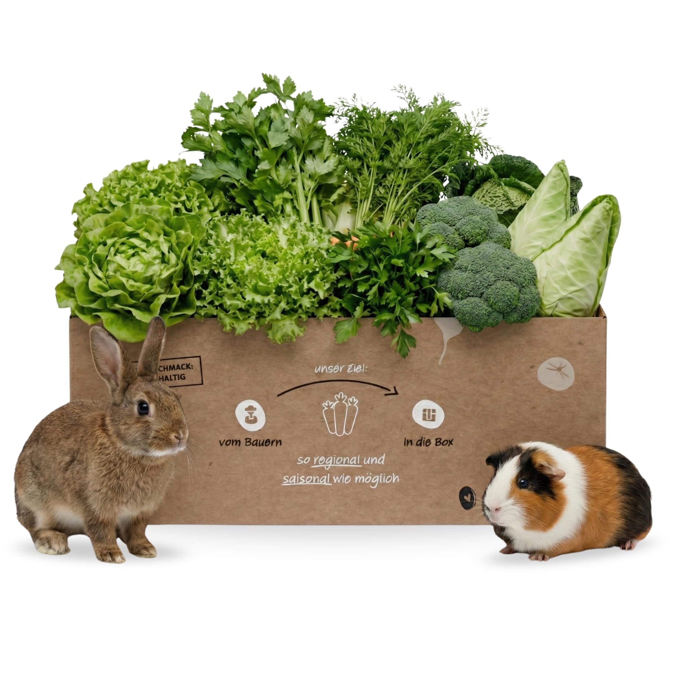 Frischfutter-Boxen für Heimtiere 5 kg, Gemischte Box für Kaninchen, Meerschweinchen und andere Pflanzenfresser - hochwertige Nahrung, frisches Kleintierfutter, Versand Immer Montag & Dienstag