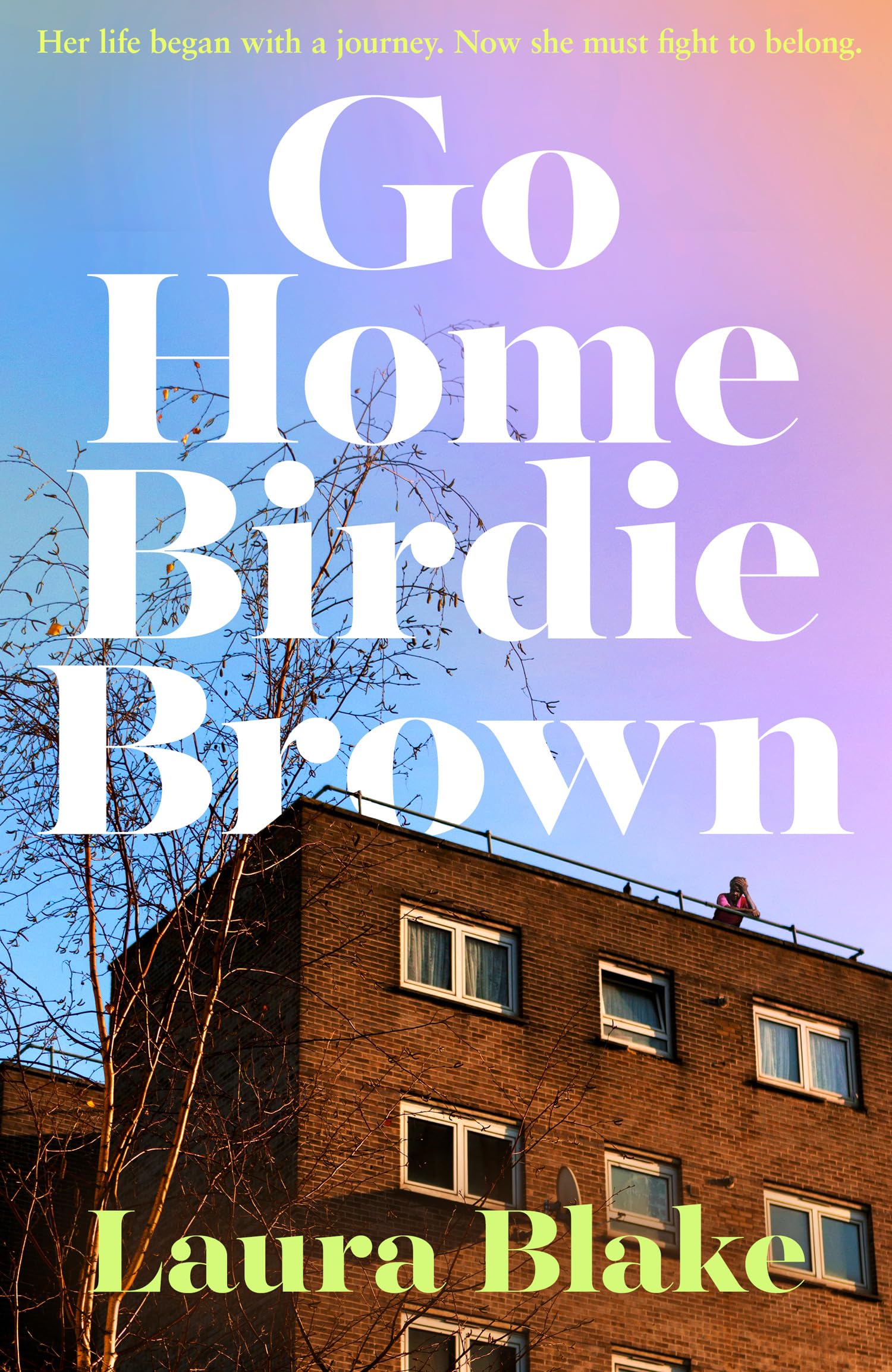 GO HOME BIRDIE BROWN HB by Laura Blake (Hardback Book)