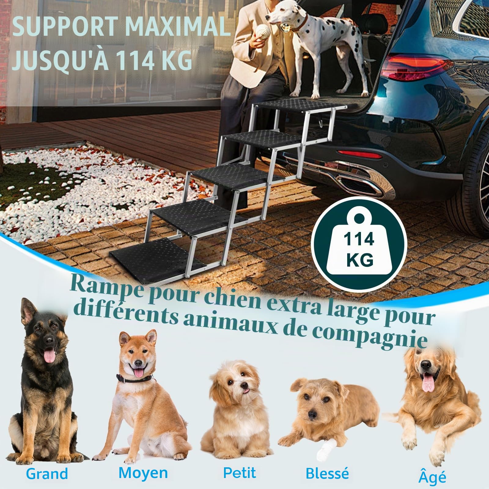 Escalier pour Chien 5 marches, Rampe Voiture pour Chiens Pliable, Charge 113 kg, Surface antidérapante, Aluminium léger, Larges marchepied Portable pour Compagnie, Voiture, SUV, Camion argenté