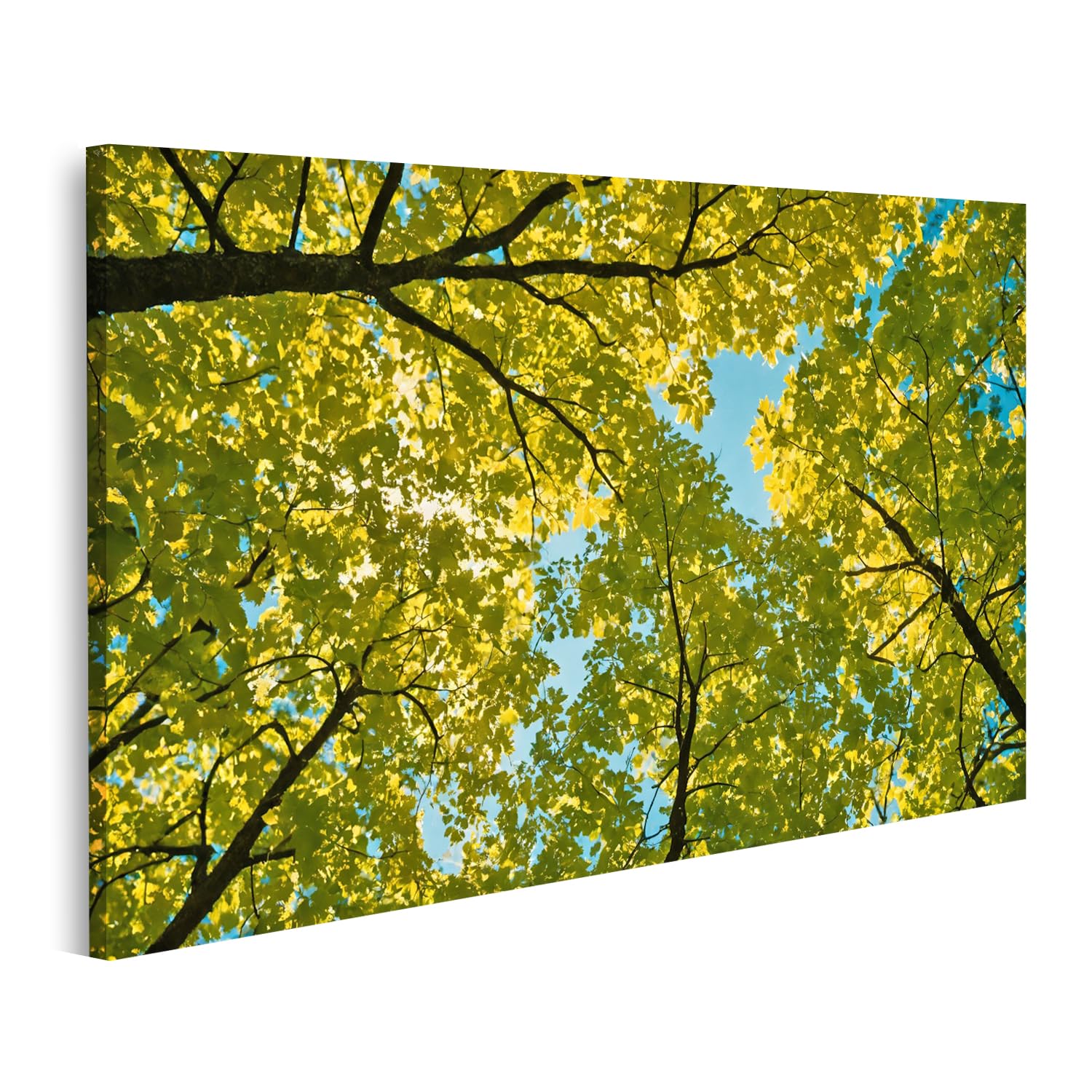 Image sur toile forêt grand format pour salon et hôtel