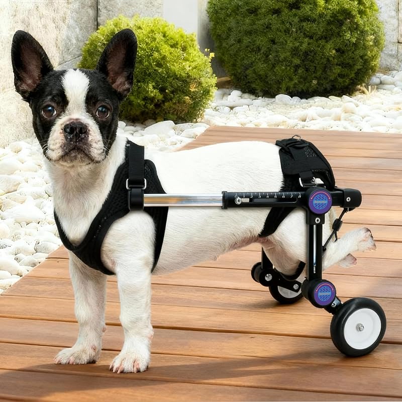 Cadeira de rodas para cães com apoio para patas traseiras ajustável LetPetRun preta – 1 unidade