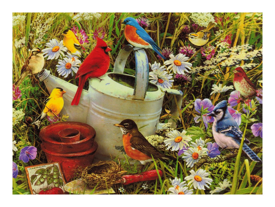 Giordano Collection - 550 Pc Puzzle - Gardeners Delight