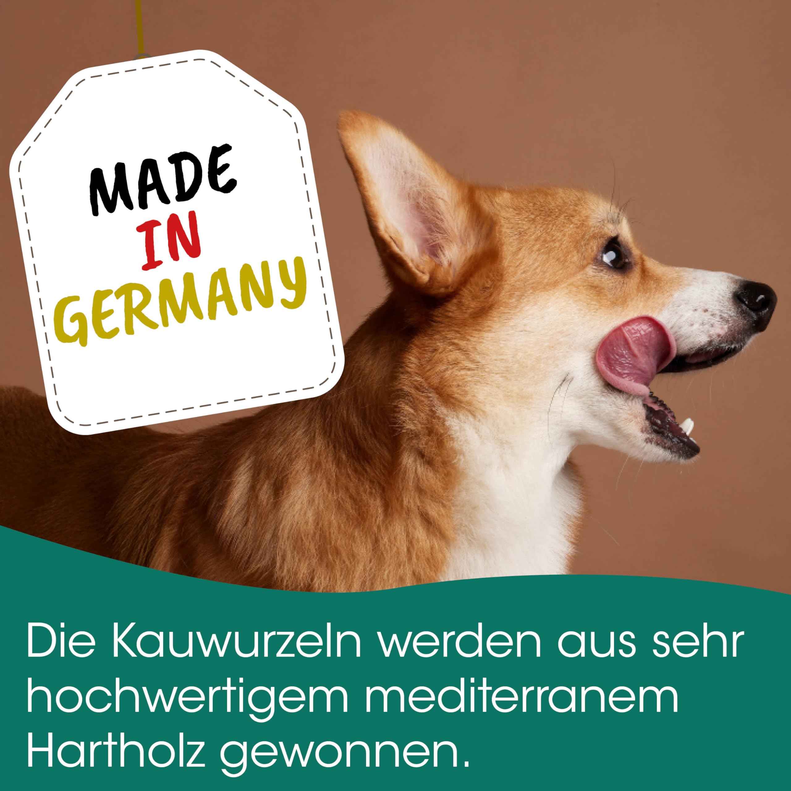 cdVet Naturprodukte Kauwurzel L 5er Pack - Natürlicher Kauspaß für Hunde - Zahnpflege - Ohne Fett und Allergene - Nachhaltiges Hundespielzeug