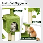 Meecal Arbre de chat vert pour les chatons sous 6 Mois 12lbs, 47" Tall pour les petits chats, Tour de la cage avec poste de scratching,1 Hammock & Double Condos, Jouets de danse, Tour de chat compacte mignonne pour les chatons