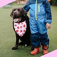 Vista 48 de Sunflower with Leaves Dog Bandana Washable Pets Scarf Triangle Adjustable Handkerchief, Double Sided Printing, Black,Sunflower (Large)