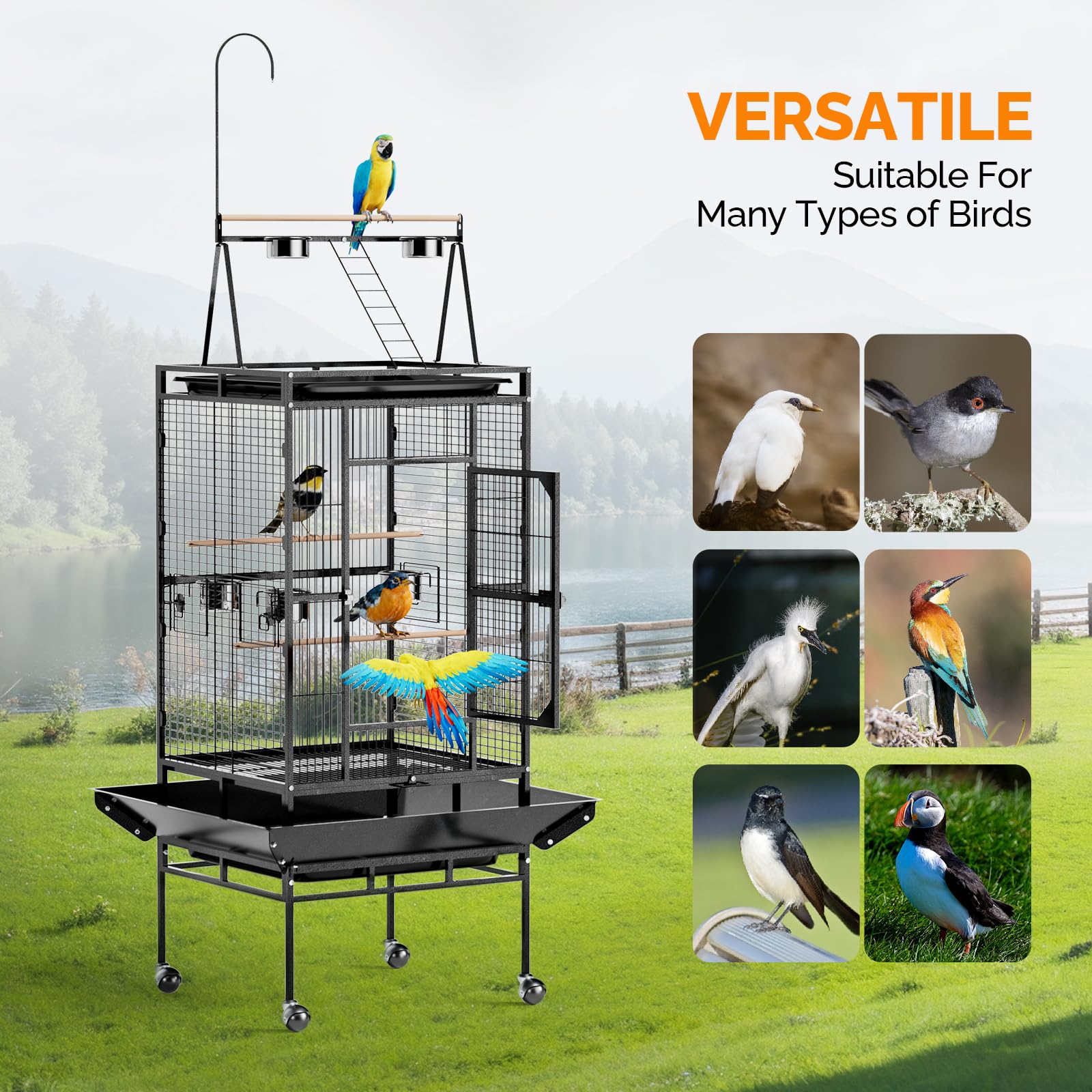 LEADZM Cage Oiseau, avec escalier sur Le Dessus et Double Bol d'alimentation, Robuste et Durable, avec 5 Positions d'alimentation, 83 x 78 x 210 cm