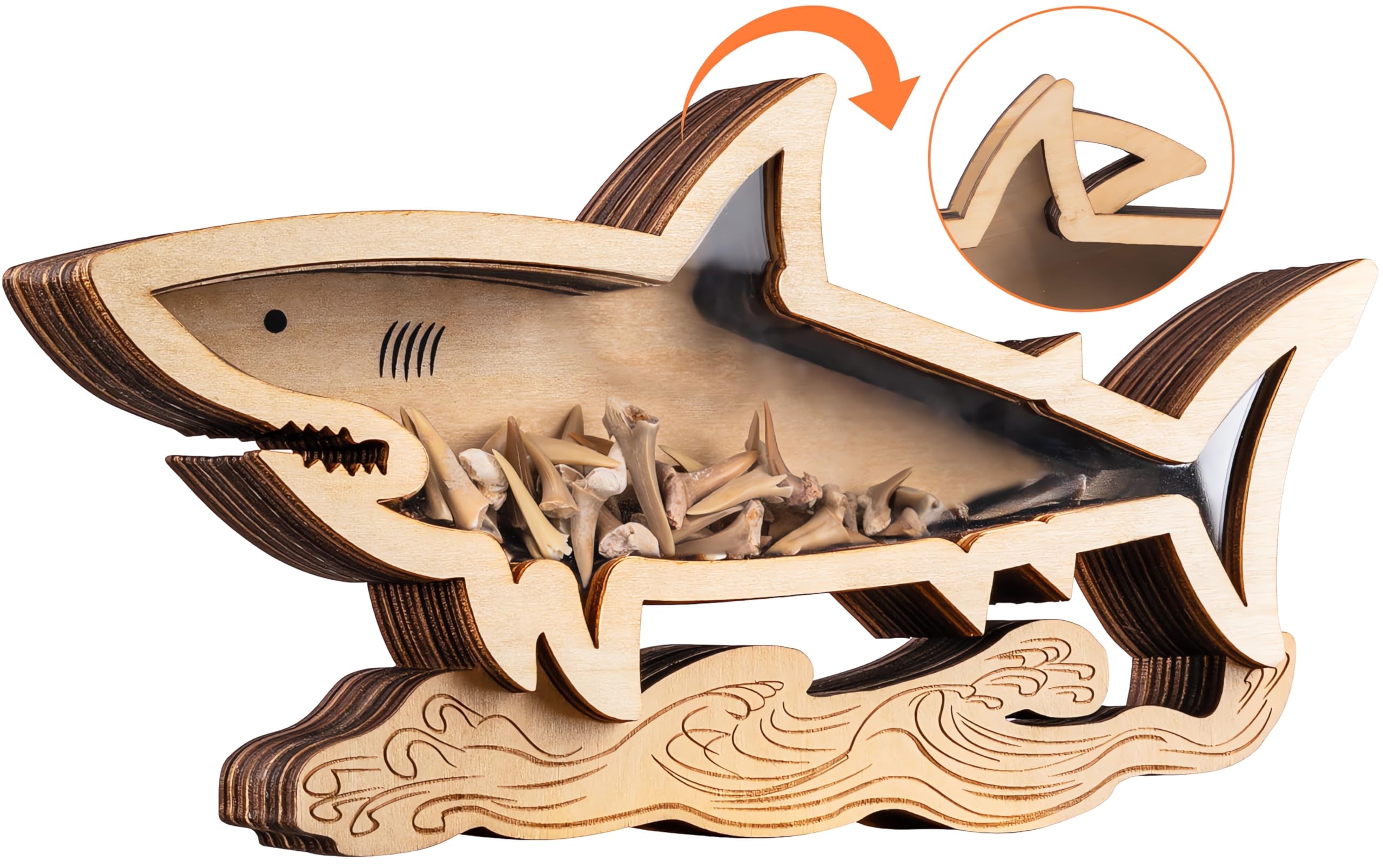 Shark Tooth Display Case 8.7 Inch,Wooden Shark Tooth Holder,Wood Shark Tooth Shadow Box,Shark-Shaped Display for Shark Tooth Collectors,Gifts for Vacation Beach Home Decor