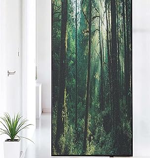 Nature Pattern Window Privacy Film,Sunset in Woods Sun Beaming Through Forest Trees Wilderness Scenery Frosted Window Film,for Home Office UV Protection,35.4