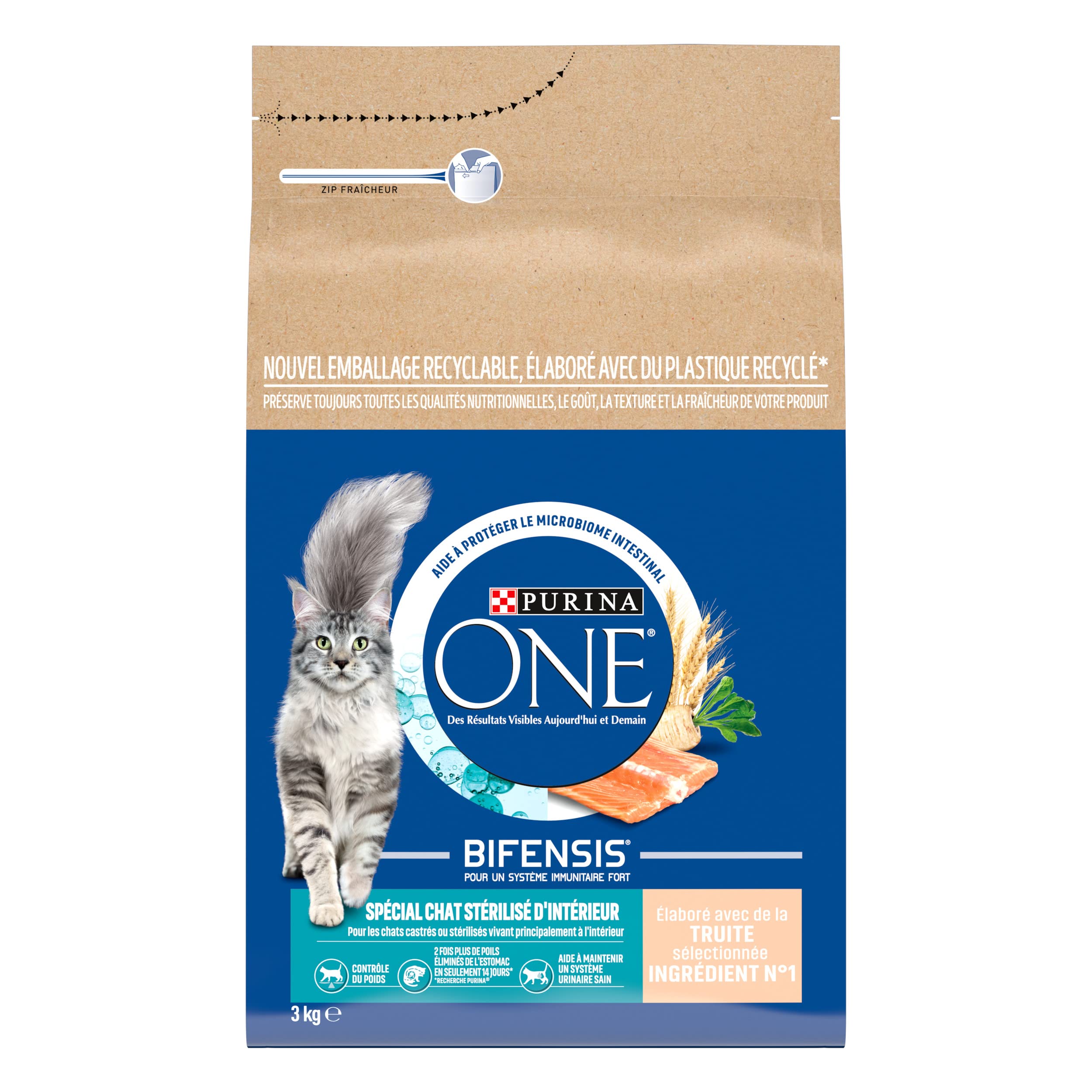 PURINA ONE Bifensis | Speziell für sterilisierte Katzen im Innenbereich | Trockenfutter | hilft bei der Gewichtskontrolle, erhält EIN gesundes Harnsystem, entfernt Magenhaare | Forelle | Beutel 1x 3kg