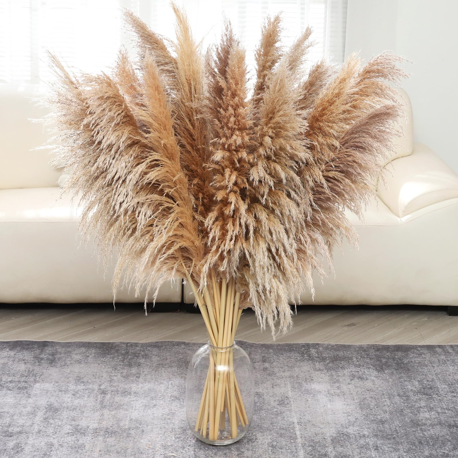 Pasuvsigt Dried Pampas Grass