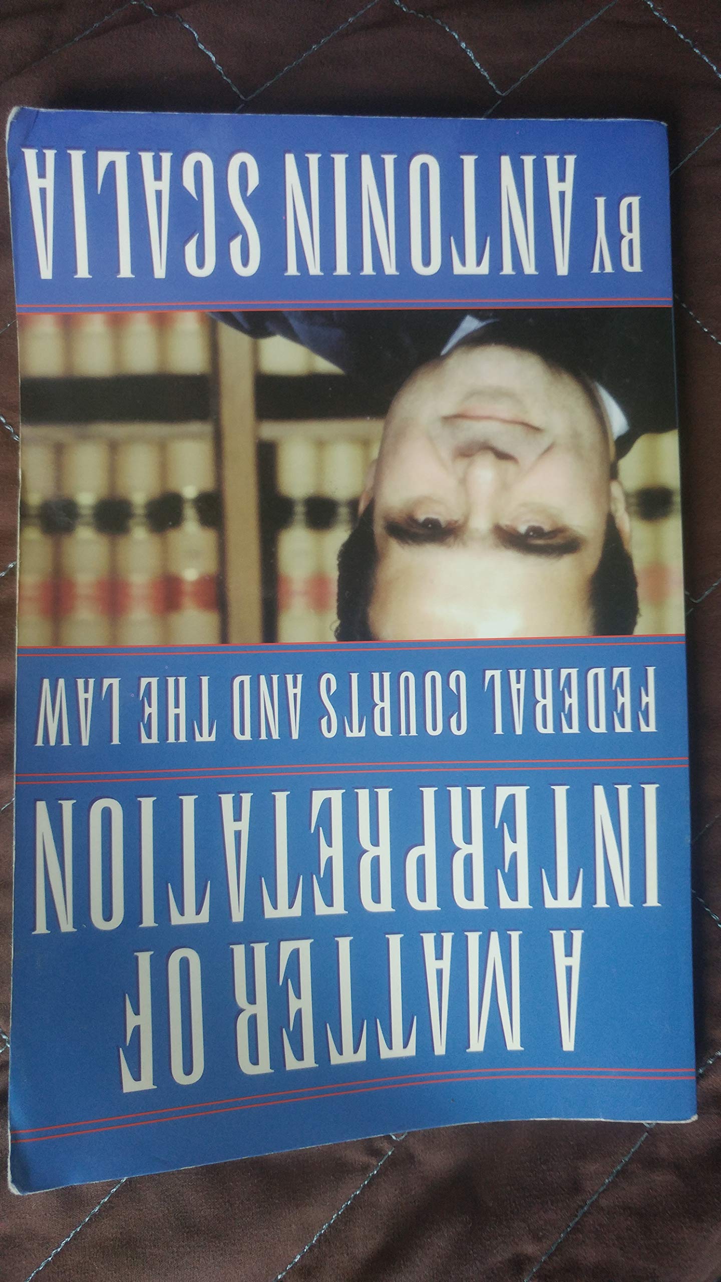 A Matter of Interpretation: Federal Courts and the Law (The University Center for Human Values Series, 16)