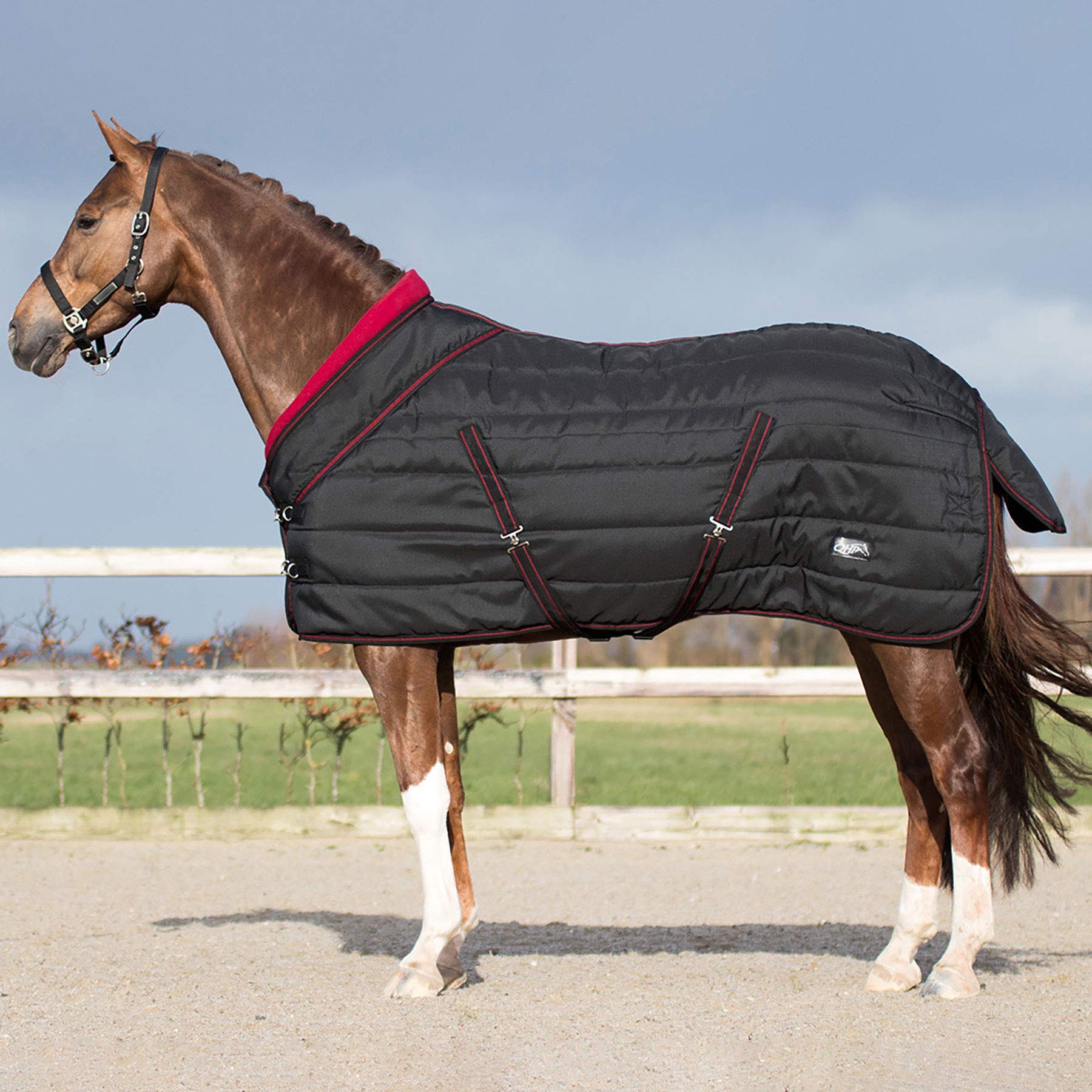 QHP Manta de establo para Caballos Luxury Collection 200g