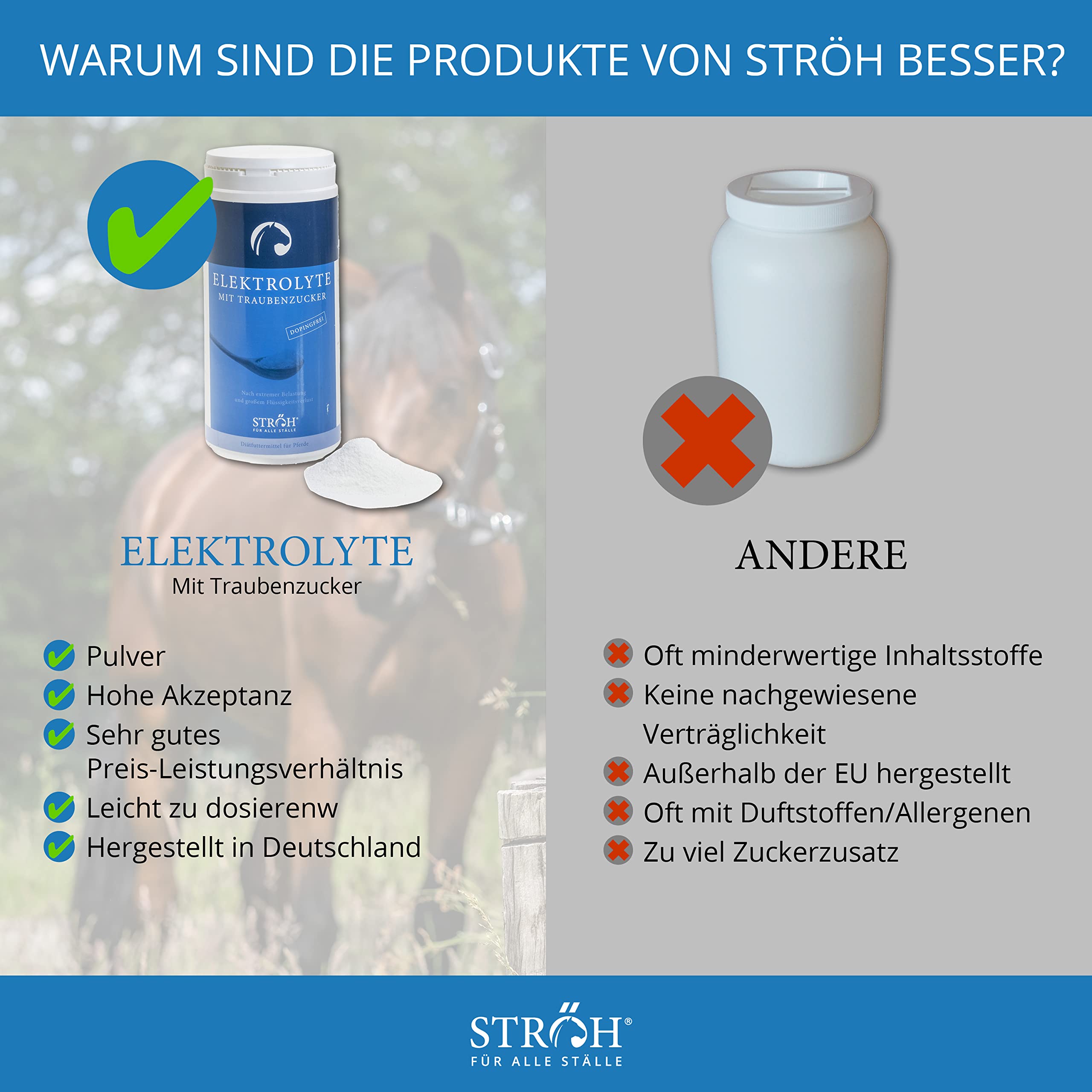 STRÖH Elektrolyte für Pferde + Traubenzucker (1,5 kg) • Mineralsalz Pulver Pferd • Mineralien für Pferde