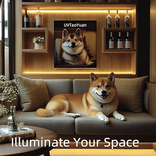 Miniatura 7 de Tira de luces LED de 24 V COB LED cálida 3000 K tira LED súper brillante 16.4 pies 5M sin puntos de alta densidad cortable flexible para el hogar