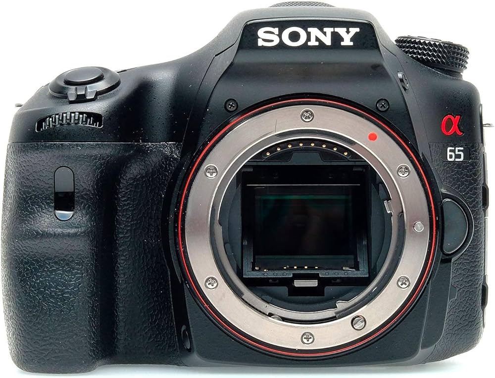 Buy Sony SLT-A65VK 24MP Digital SLR Camera (Black) with Camera Bag