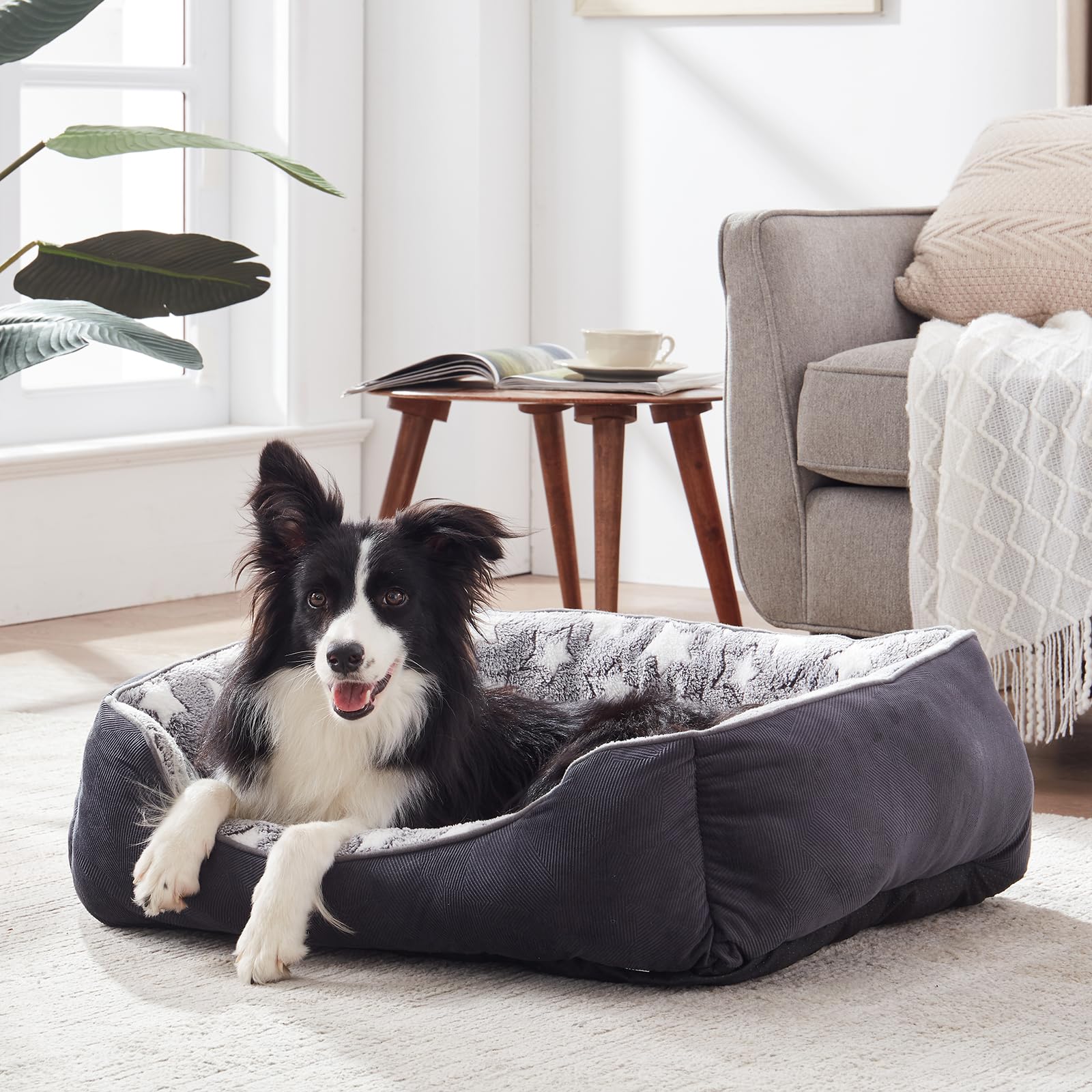 FURTIME Cuccia Cane Letto per Cani Cuscino Lavabile e Antiscivolo Lettino Morbido Divano per Cani Cuccia Cane Interno Taglia Grande Brandina per Gatto L(76x61x23cm) Nero