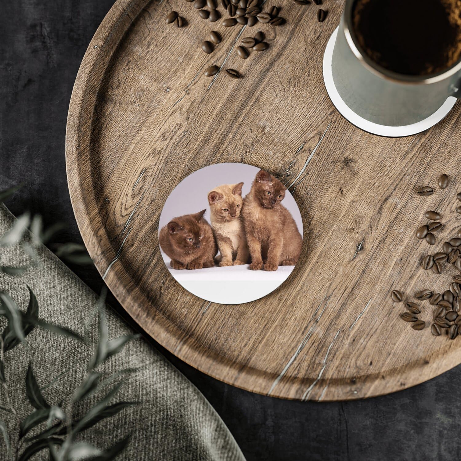 Sottobicchiere rotondo in ceramica – Bebe gatti siamesi persiani a pelo lungo gatto trio carino, confezione da 6 (108 x 108 mm)