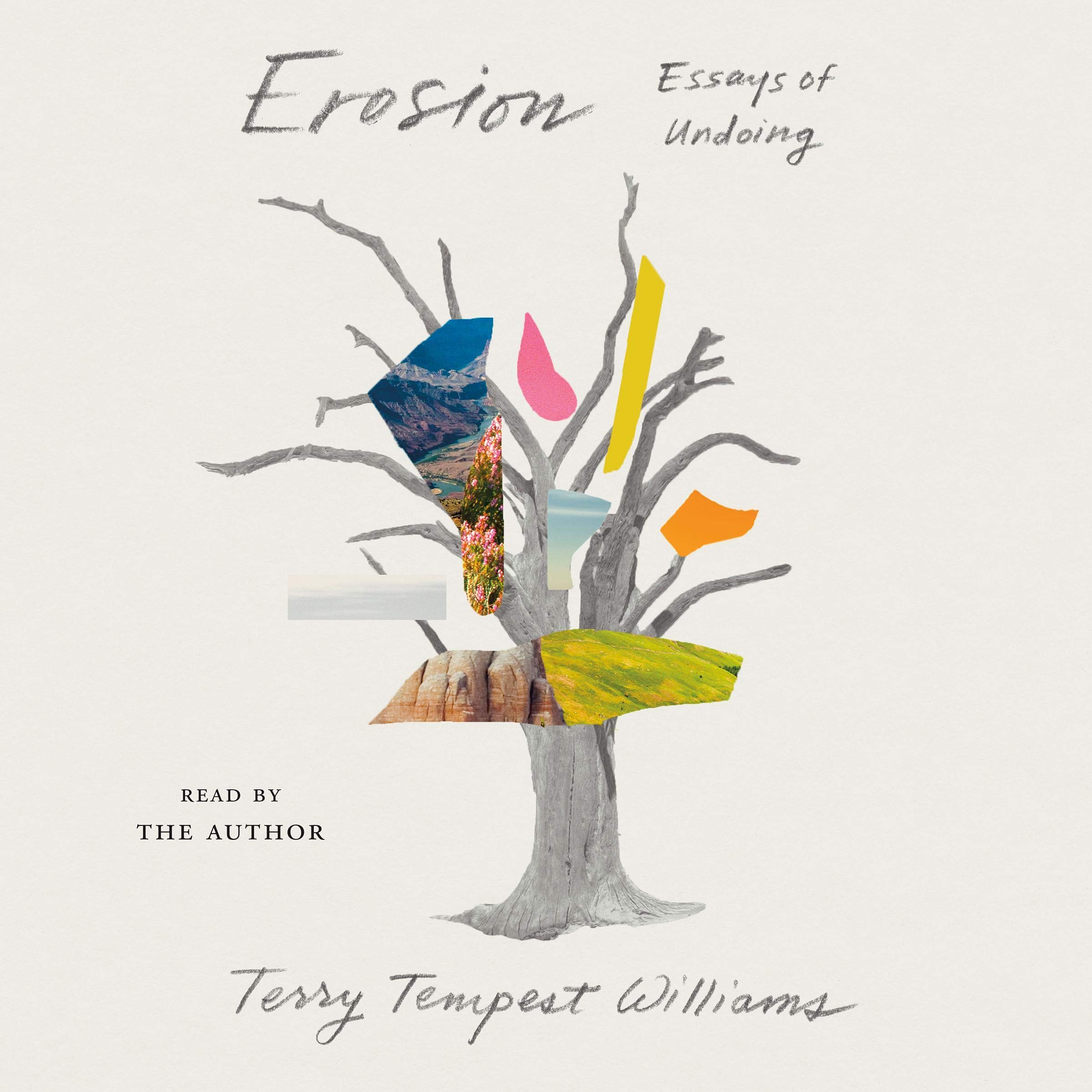 Cover art for Erosion