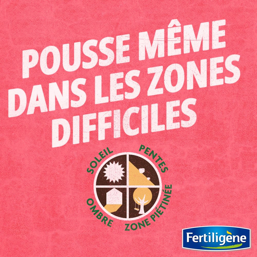 FERTILIGENE FPATCH750 Patch Magic Rénovateur de Pelouse 750 g - Formule 4 en 1 semences, engrais, fixateur, support végétal
