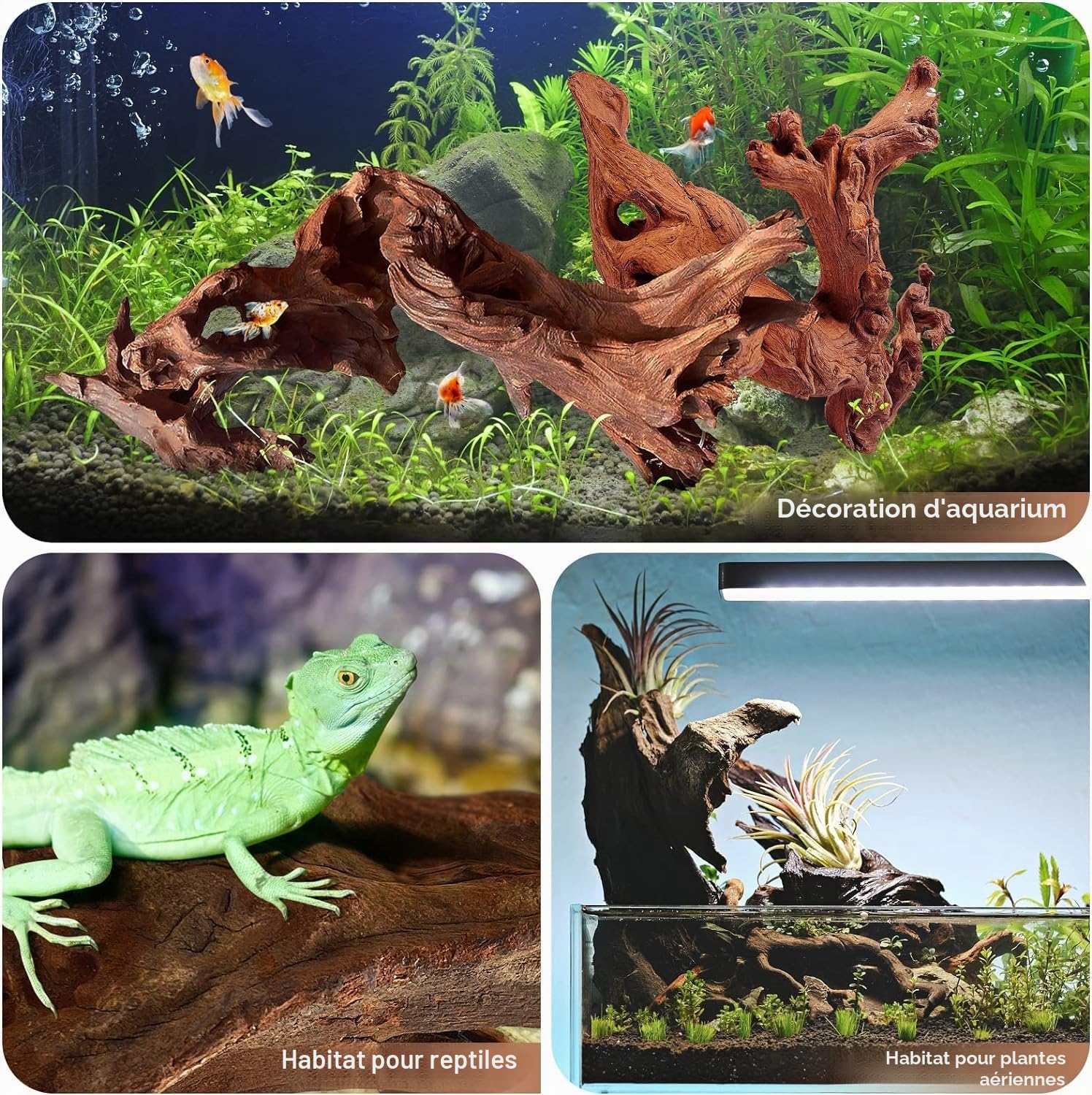 Jorewood Bois flotté Naturel pour Aquariums et terrariums de Reptiles – Décorations sûres pour Aquarium, Branches torsadées Uniques de 17,8 à 27,9 cm, tanin Bas, Facile à couler