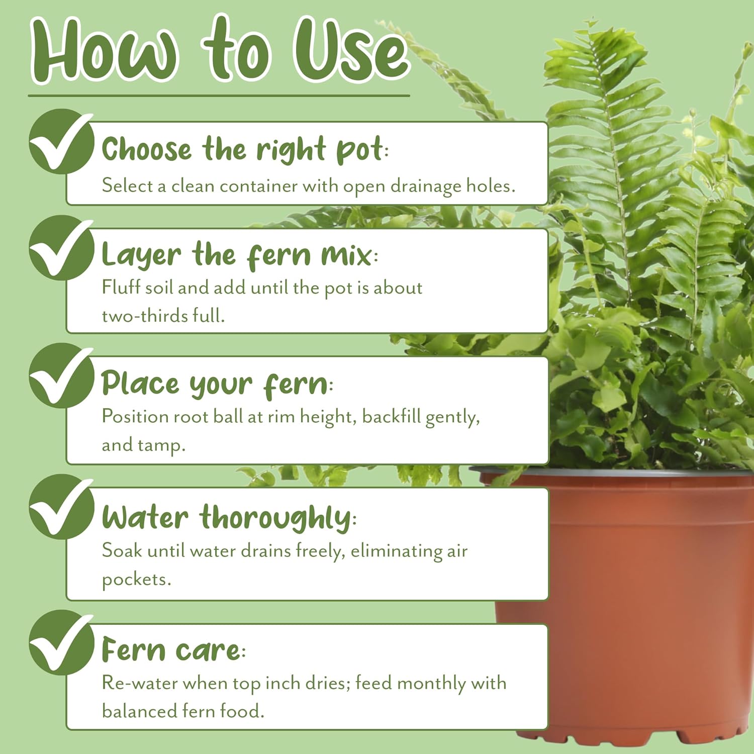 Soil Sunrise Fern Plant Potting Soil Mix (8 Quarts) Custom Hand Blended Mixture for Indoor/Outdoor Container Gardening