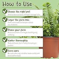 Vista 7 de Mezcla de tierra para macetas de helechos (8 cuartos de galón), mezcla mezclada a mano personalizada para jardinería en contenedores interiores