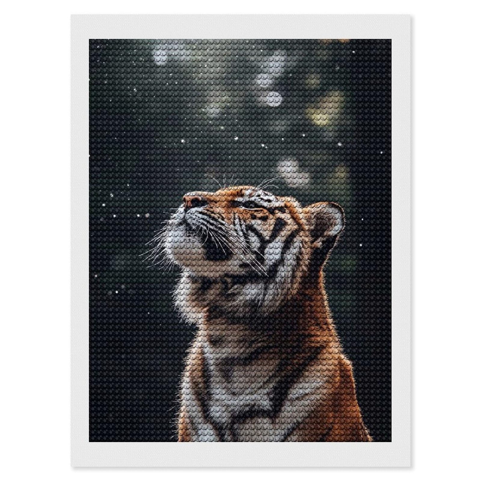 Junmoney Tiger Gazing Upward with Bokeh Lights Round Drill Diamond Painting 12"x16", Satisfying Creative Project, Complete Accessories, Printed Canvas