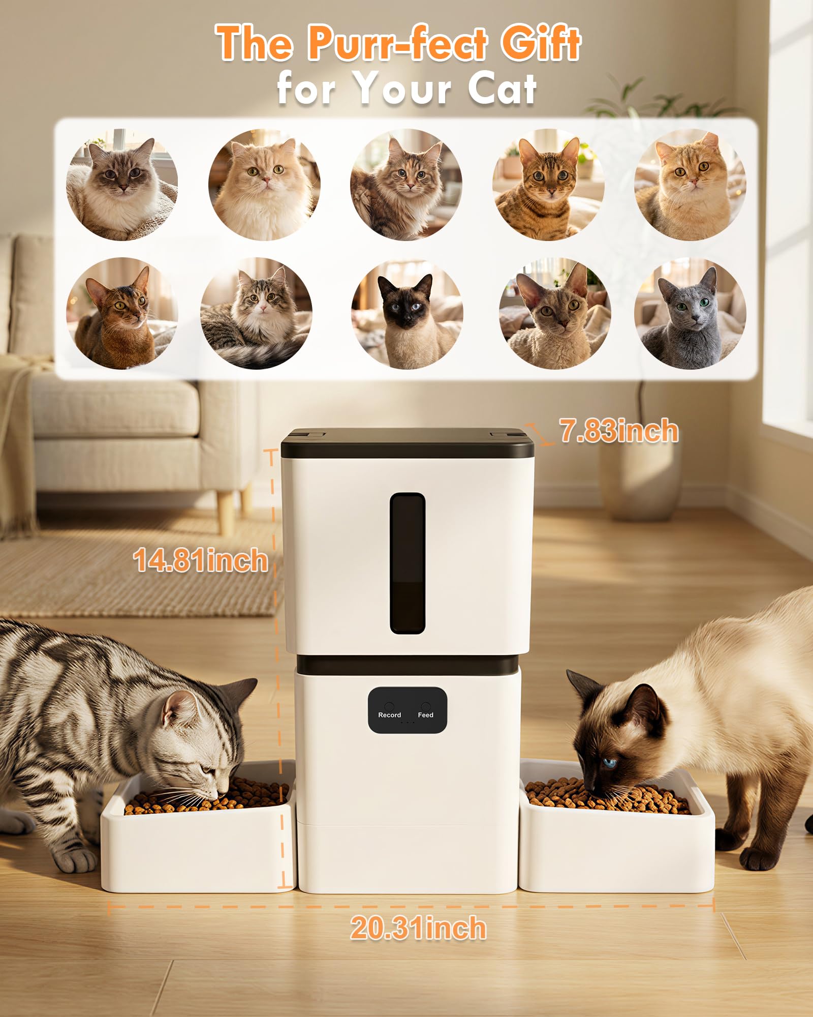 Yakry Automatic Cat Feeder for 2 Cats - Two HD Cameras Easy Setup 5GHz Stable WiFi Dog Food Dispenser with HD Night Vision - 8L Pet Feeder with Dual Bowls for Multi-Cat & Small Dogs Indoor - image 8