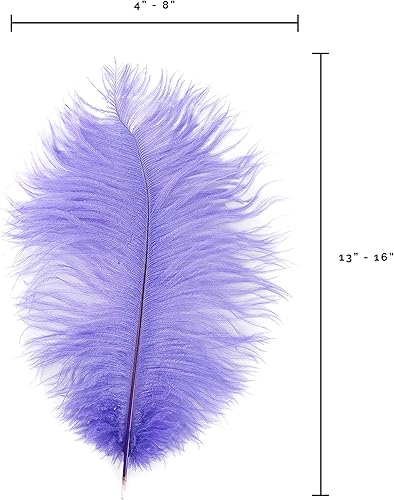 Miniatura 6 de ZUCKER OP15-LV Plumas de avestruz, 13-16 pulgadas de largo x 4-8 pulgadas de ancho, lavanda