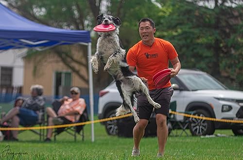 Miniatura 10 de Hero Air 235 Flying Dog Sport Disc