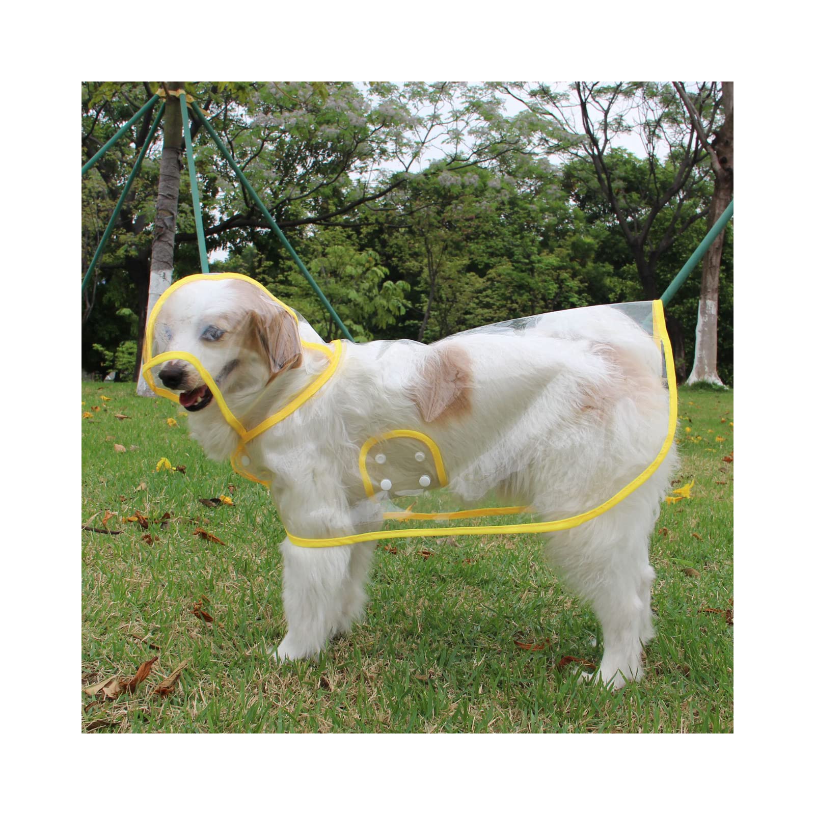 Manteau de pluie pour chien 8XL jaune qui protège le pelage de l'eau