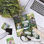 Stone City Printable Feuilles magnétiques Faire un réfrigérateur Photo aimant papier d'impression brillant 12mil Épaisseur pour imprimantes jet d'encre 8.5X 11 Pouces 12 Feuilles