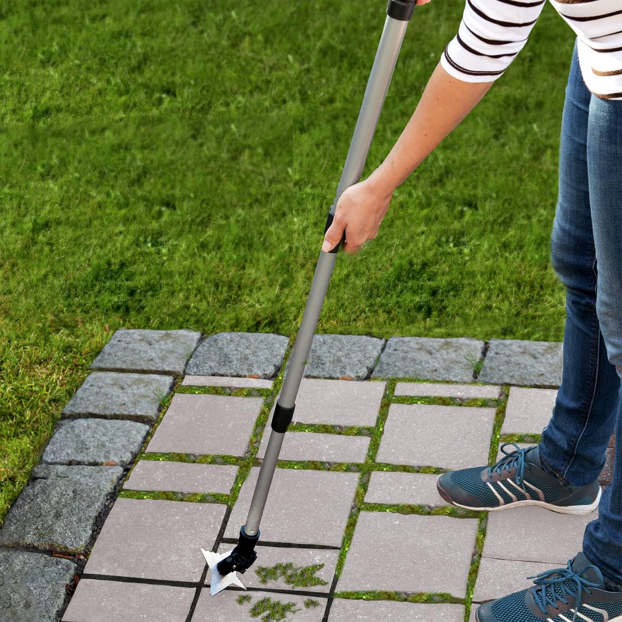 Joint Scrapper 51" Telescoping Stainless Steel 4 Prong Weed and Moss