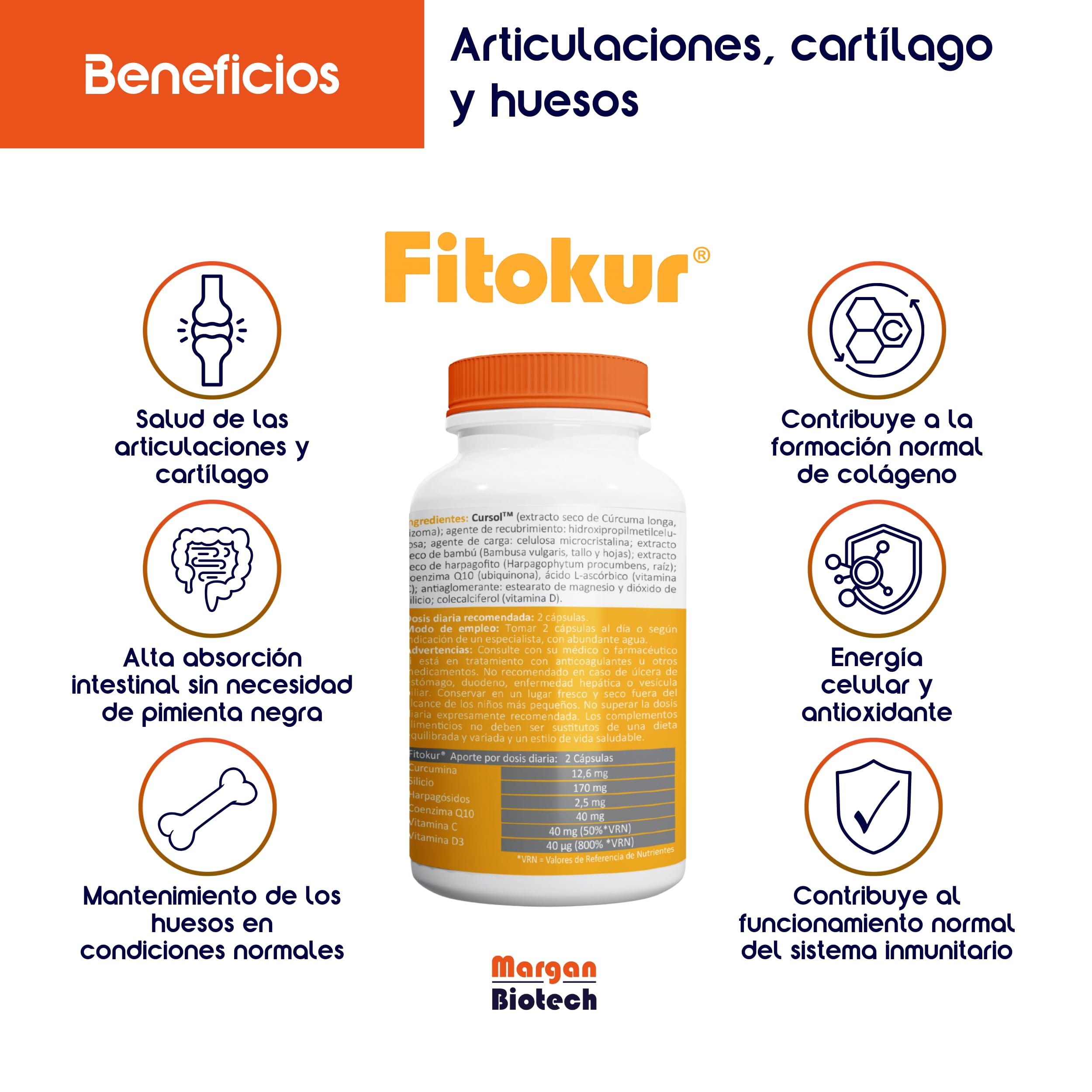 Margan Biotech Fitokur, 60 cápsulas | Cúrcuma Cursol | Extractos Vegetales | Coenzima Q10 | Vitamina D y C | Complementos Alimenticios para el Cuidado de la Salud Osteoarticular
