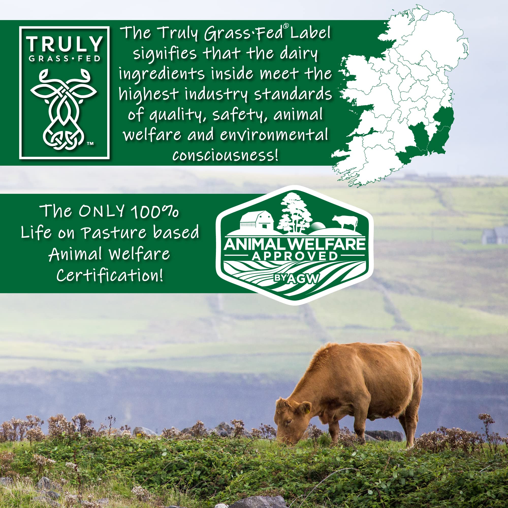 Buy AGN Roots Grass Fed Whey Protein Isolate Powder Unflavored