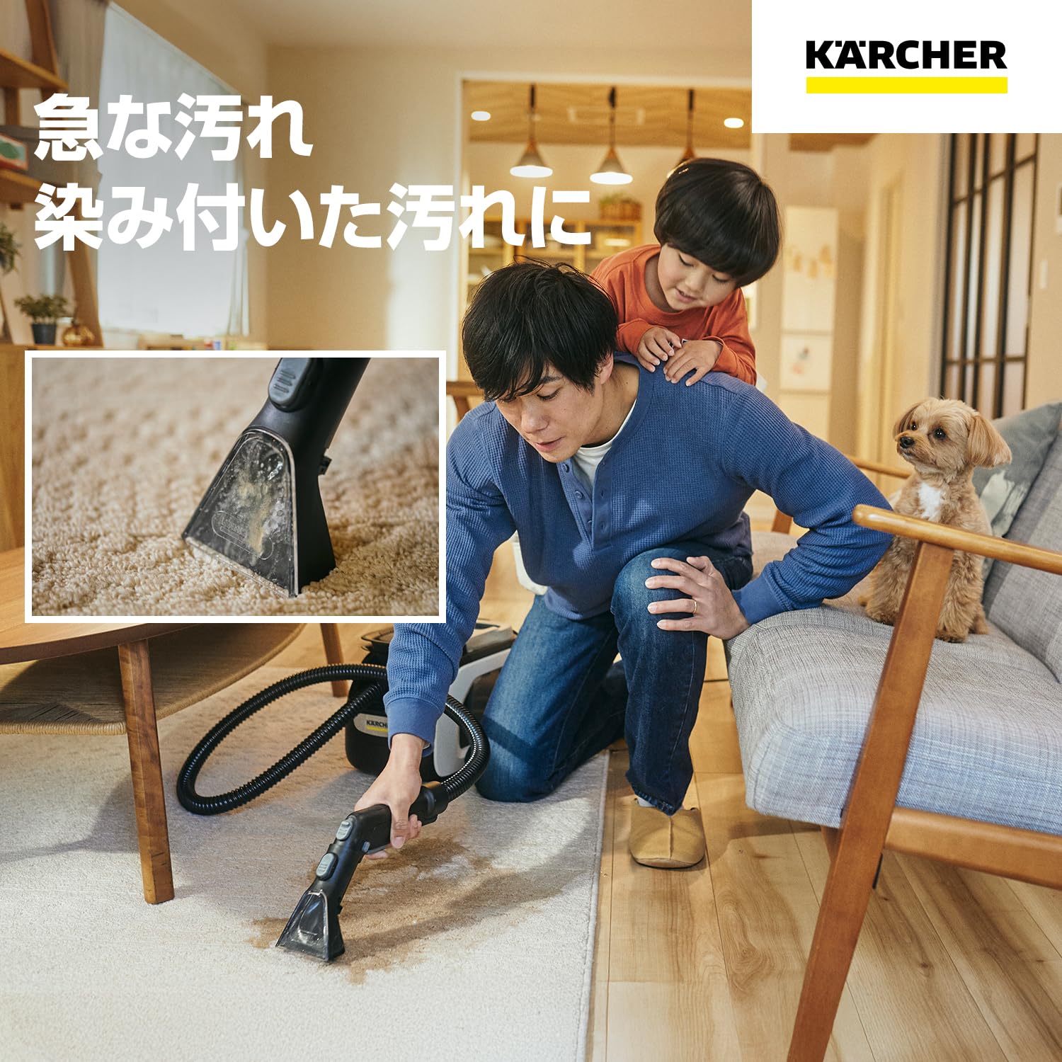 Amazon.co.jp: 【純正品】ケルヒャー(Karcher) カーペットリンス