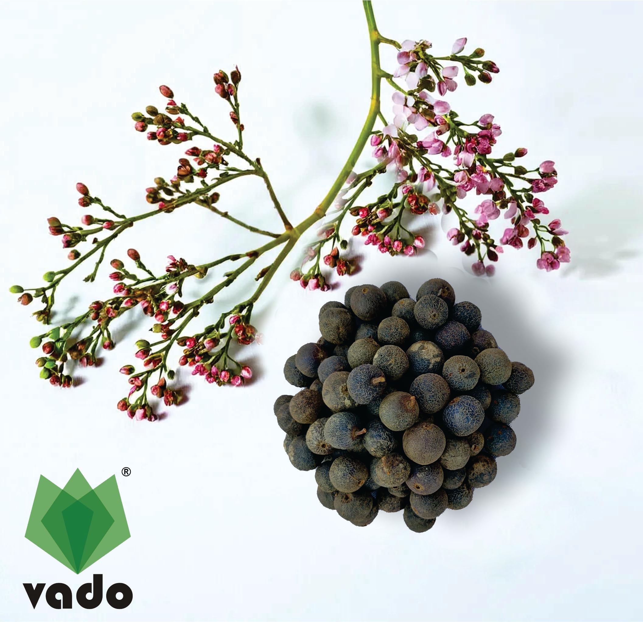 Vado Nepali Rudraksha Fruit (Pack of 9 Beads) रुद्राक्ष फल with Natural Untreated Raw Shell for Mala & Bracelet (9) 1