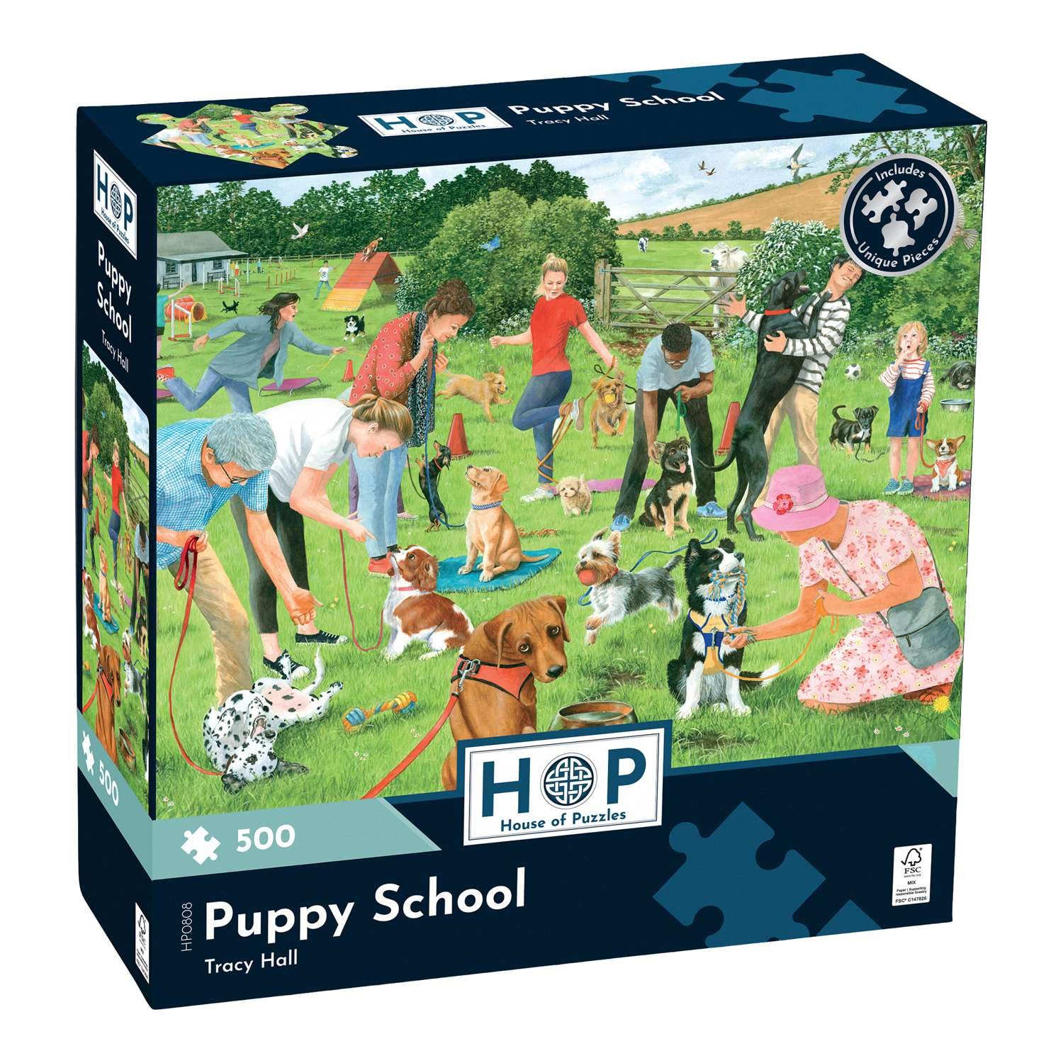 The House of Puzzles