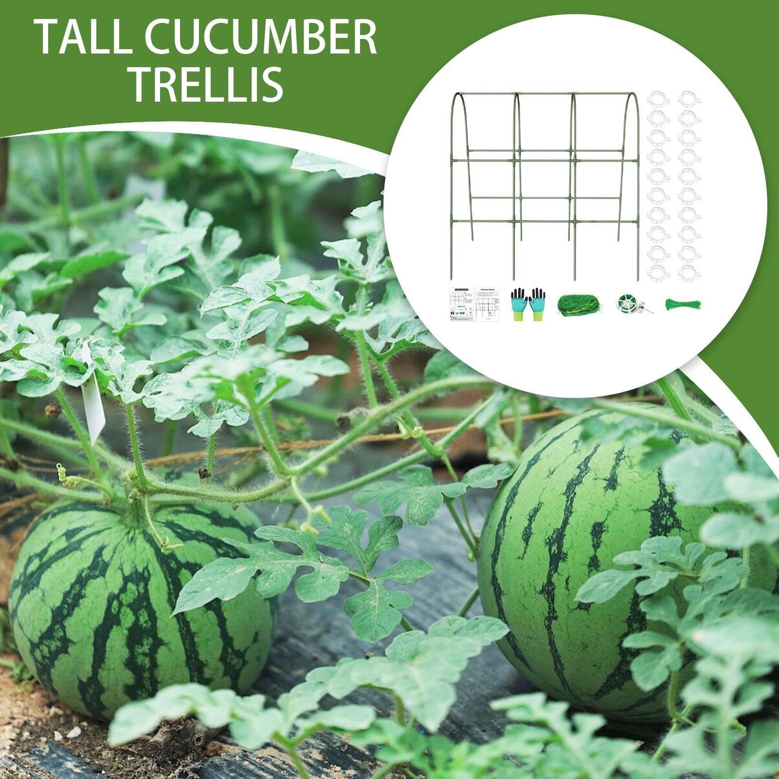 Enrejado Para Pepinos En Cama Elevada Metálico Reforzado Resistente A La | Enrejado Elevado De Jardín Verduras Guisantes, Tomates, Calabazas, Berenjenas, Cultivo En Invernadero Y Agricu