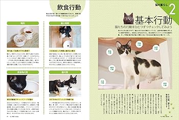 ねこ検定公式ガイドBOOK 改訂版 (廣済堂ベストムック 370号) | 神保町