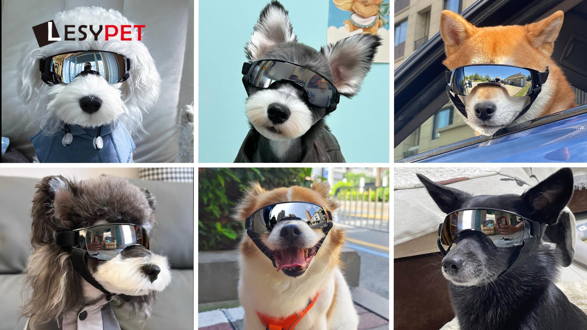 Amazon.com : LESYPET Futuristic Dog Goggles for Small Breed, Tech