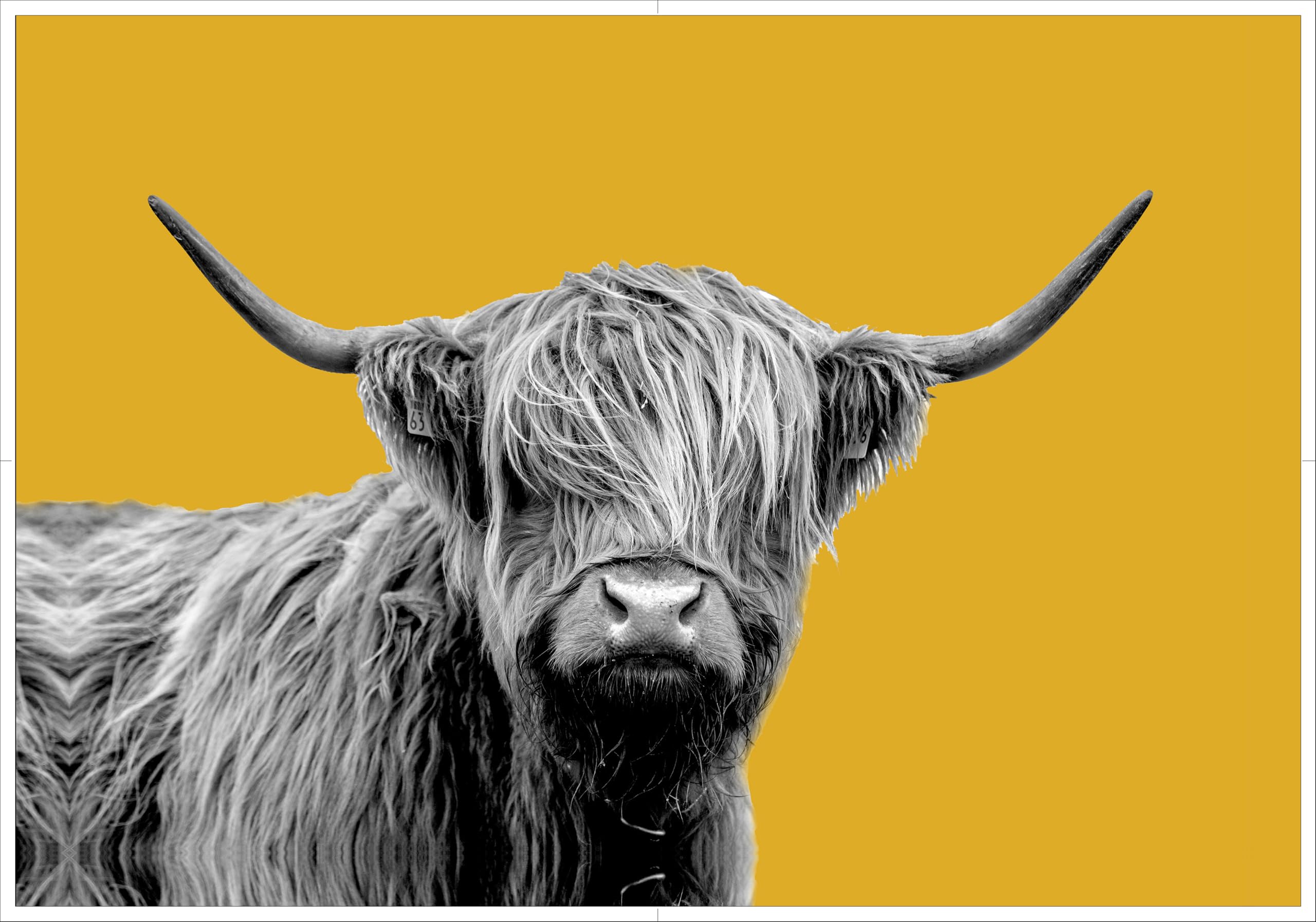 Canvasartshop Mustard Highland Cow Black And White Yellow Canvas Wall Art Print Artwork (47In X 32In / 119Cm X 81Cm)