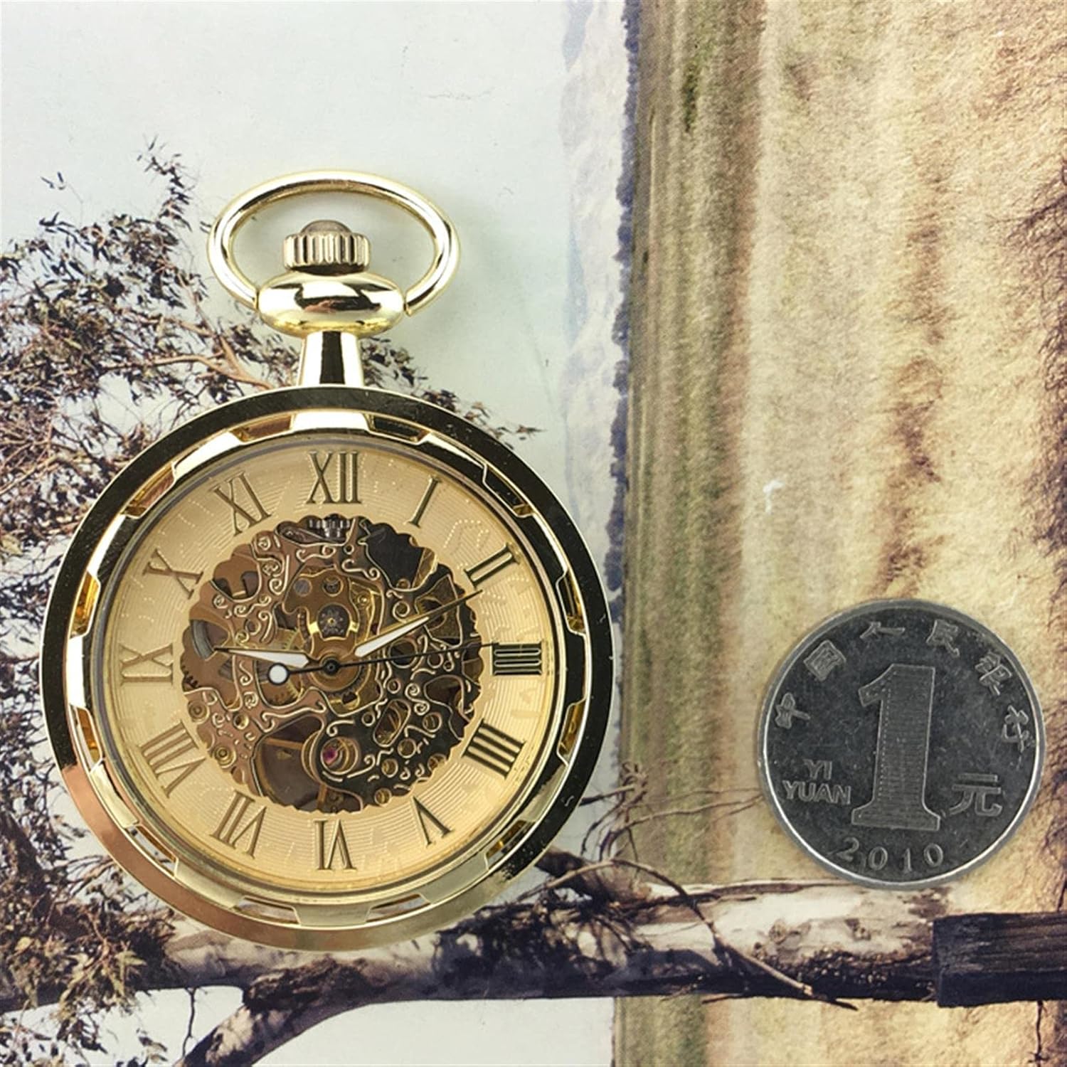 Vintage Hollow Roman Numerals Mechanical Pocket Watch for Dad - Stylish Pockets Watch Necklace with Chain