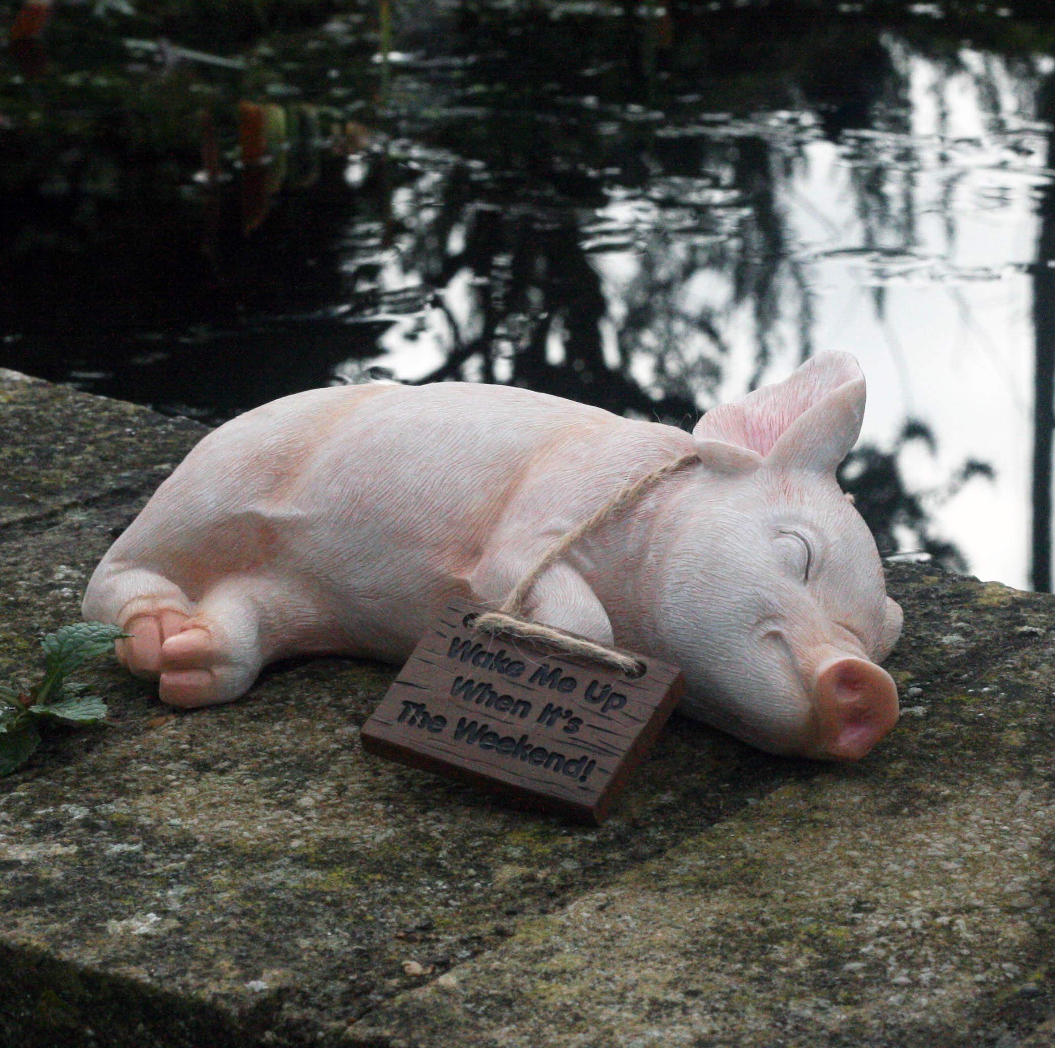Paxton Pig Resin Garden Ornament"Wake Me Up When It Is The Weekend" 22cm long