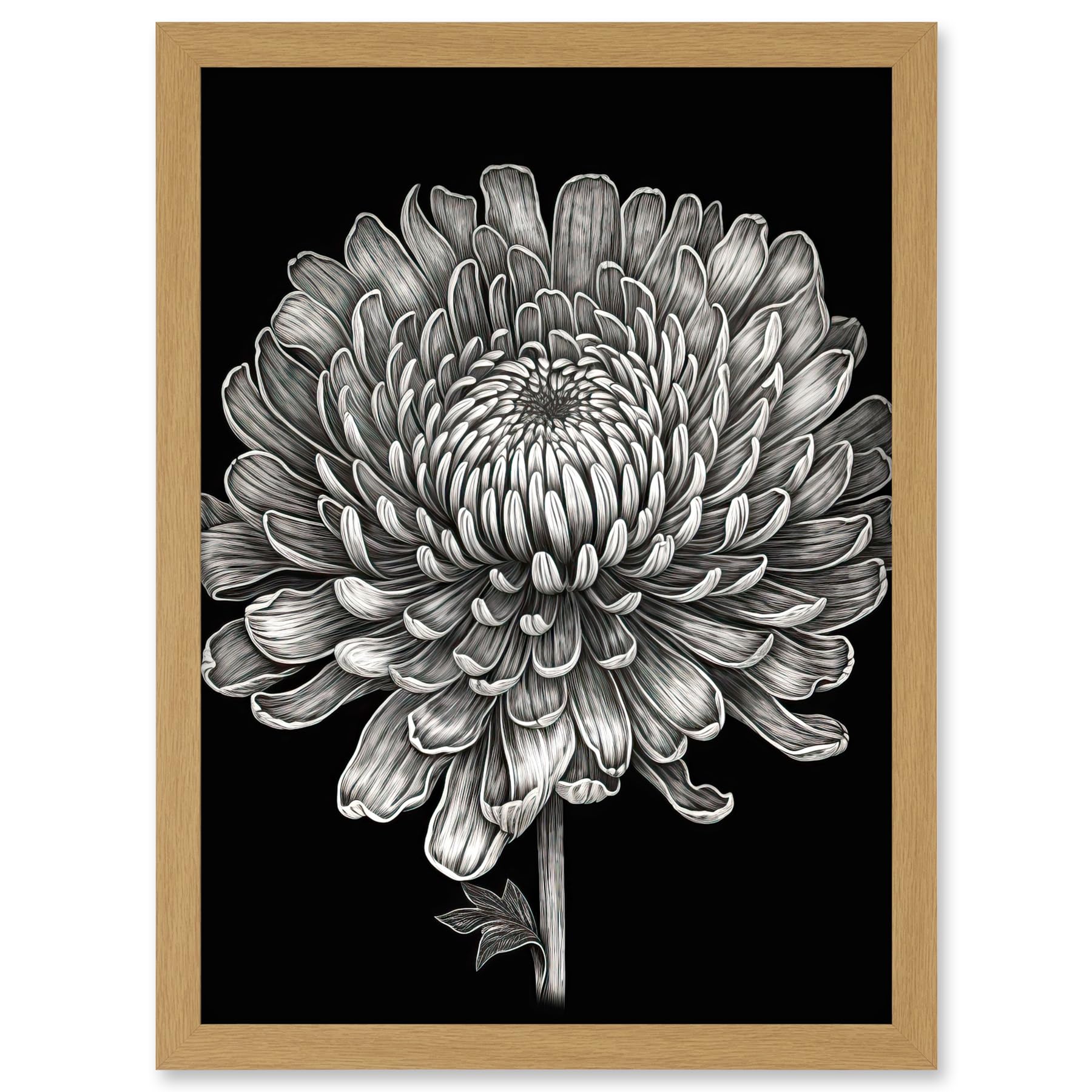 Artery8 Detailed Chrysanthemum Flower Bloom Illustration Artwork Framed A3 Wall Art Print